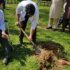 green pakistan