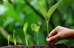 World-Environment-Day World-Environment-Day