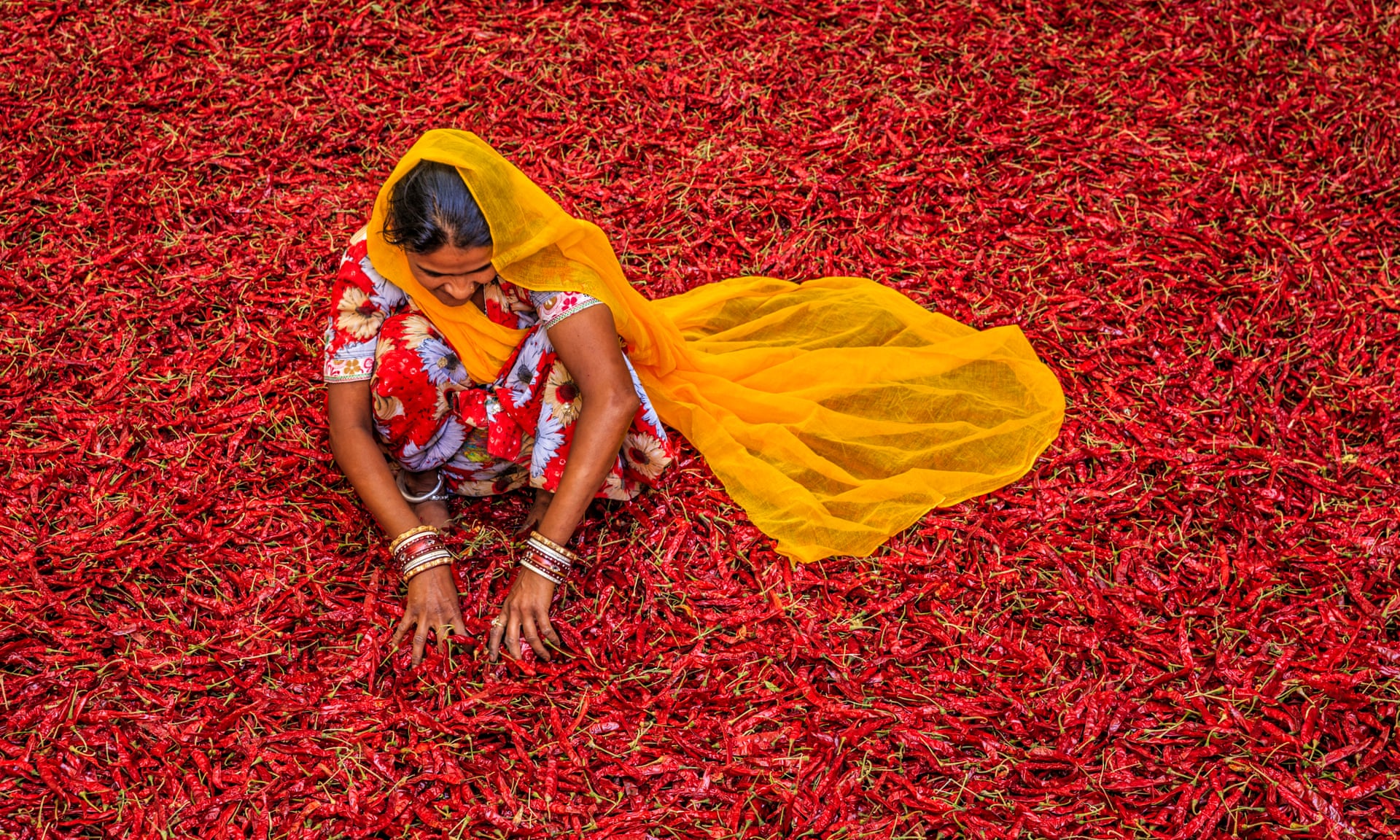 indian woman feed the world