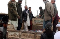 afghanistan UNAMA afghanistan UNAMA