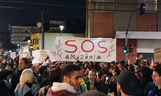 Photos from protest Curitiba Credit to Ellen Nemitz4
