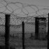 prison zimbabwe