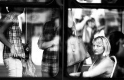 domestiv violence domestiv violence