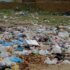 plastic bags