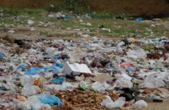 plastic bags plastic bags