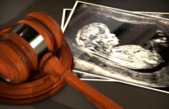 abortion law abortion law