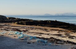 plastic beach plastic beach