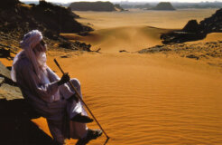 7740137280_0a6eff72c6_c 7740137280_0a6eff72c6_c