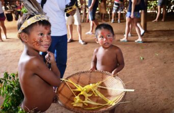 indigenous-brazil indigenous-brazil