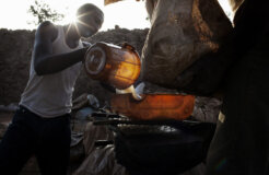 19847110488_b91b63f542_b