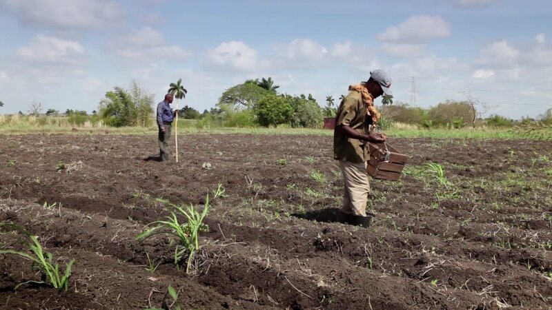 Earth-Day-2020-FairPlanet