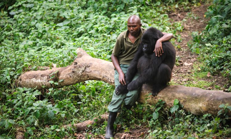 virunga park