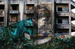 32684015257_bd9331c871_k