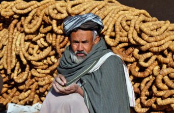 afghan farmer