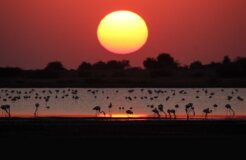 indiaenvironment indiaenvironment