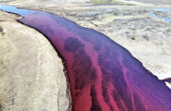 oil spill russia oil spill russia