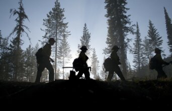 forest worker forest worker