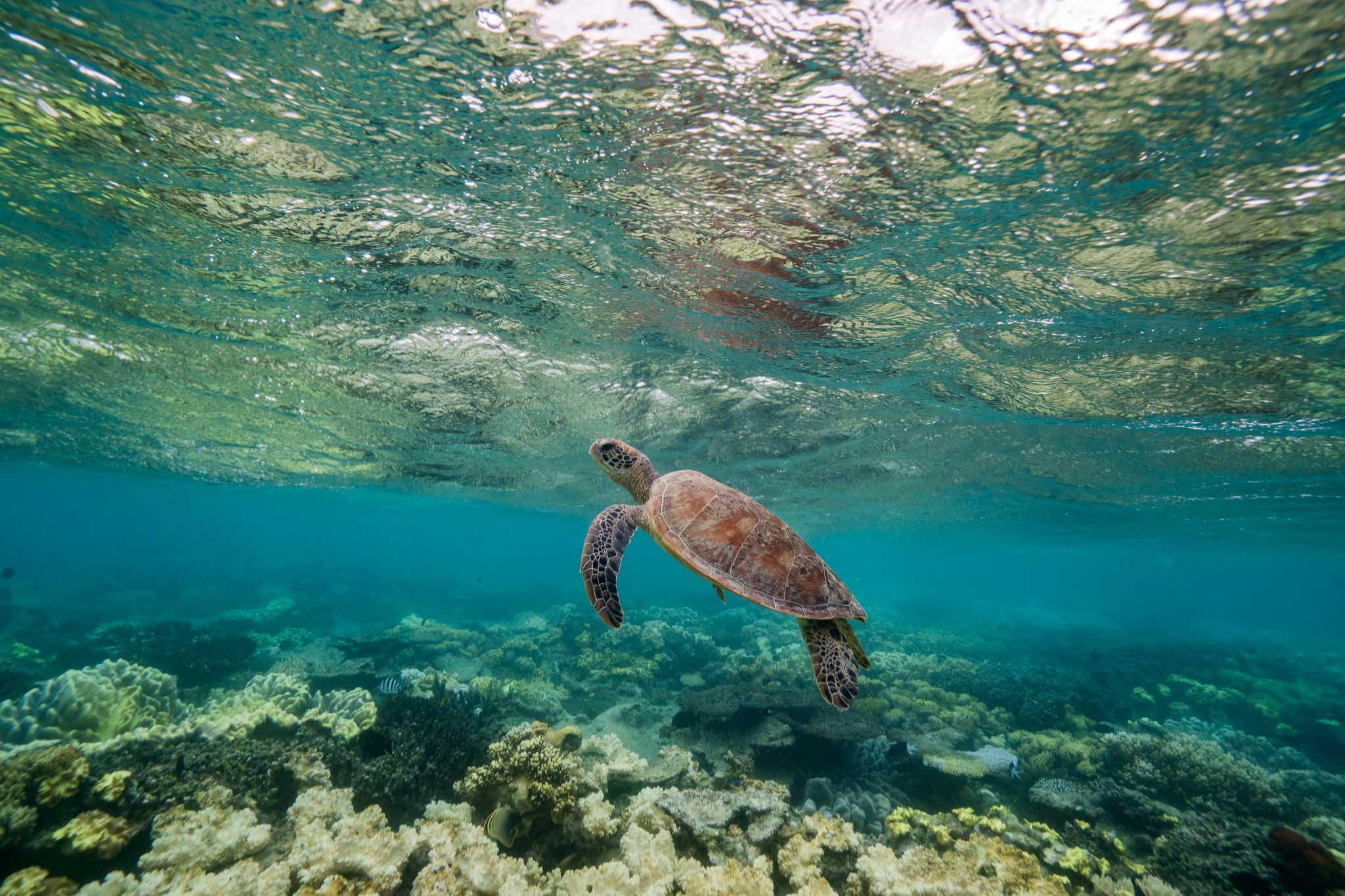 waterpollution