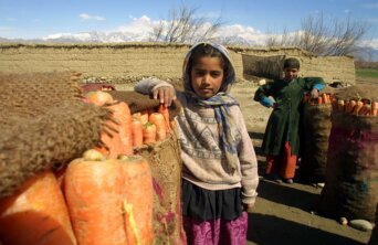 afghanistan-children afghanistan-children