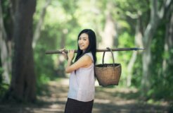 countryside-1822659_1280