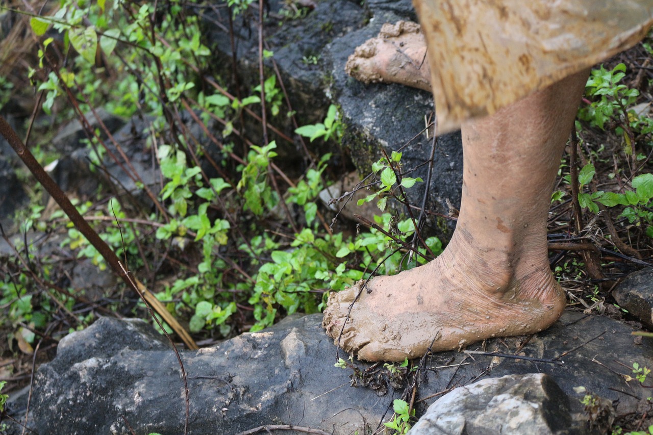 foot-forest-poverty