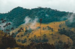 fernanda-fierro-XV4XUU7gWlk-unsplash