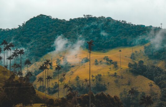 fernanda-fierro-XV4XUU7gWlk-unsplash