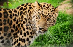 22426117441_282a7aed47_k 22426117441_282a7aed47_k