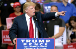 30020825413_da1ed849a7_k