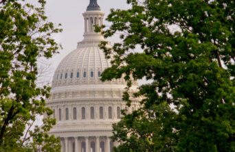 32536511217_88e3242a37_k