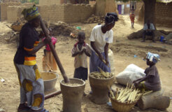 2710870219_8848a6c163_k