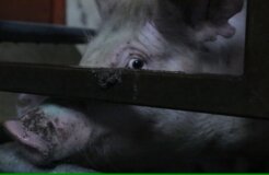 31126543541_f13569d5ac_k 31126543541_f13569d5ac_k