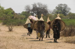 3147194456_d794668735_o 3147194456_d794668735_o