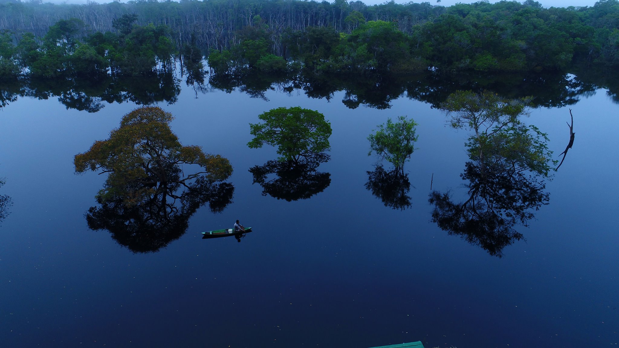 31693662678_4aa25375a1_k