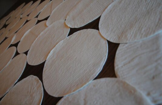 3584233218_5c34e74094_o