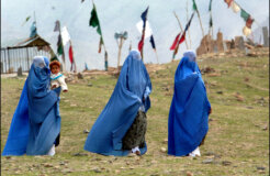 4245971782_c3ccf8af9e_k 4245971782_c3ccf8af9e_k