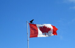 48571472391_1545095050_k 48571472391_1545095050_k