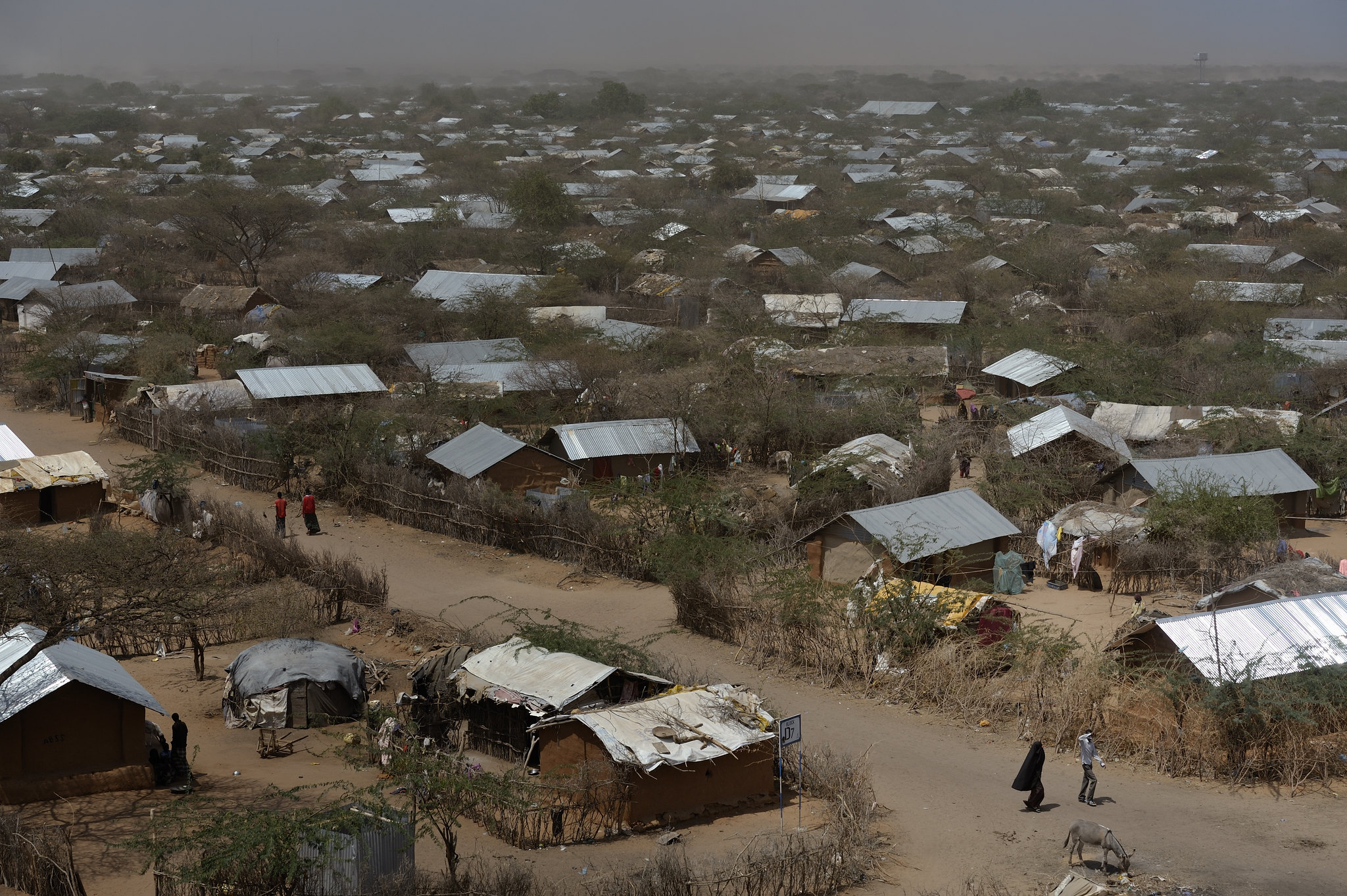 6025237437_ef75ca020c_k