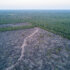 Illegal deforestation at a ranch inside PNCAT, 2019.