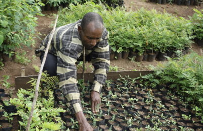 13617708374_269c71ce30_k