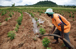 15369020450_49a4b76220_k