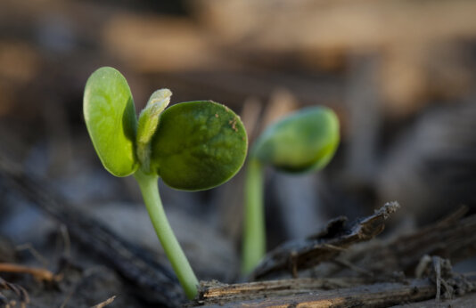 4296509355_ae41bc9b13_b 4296509355_ae41bc9b13_b