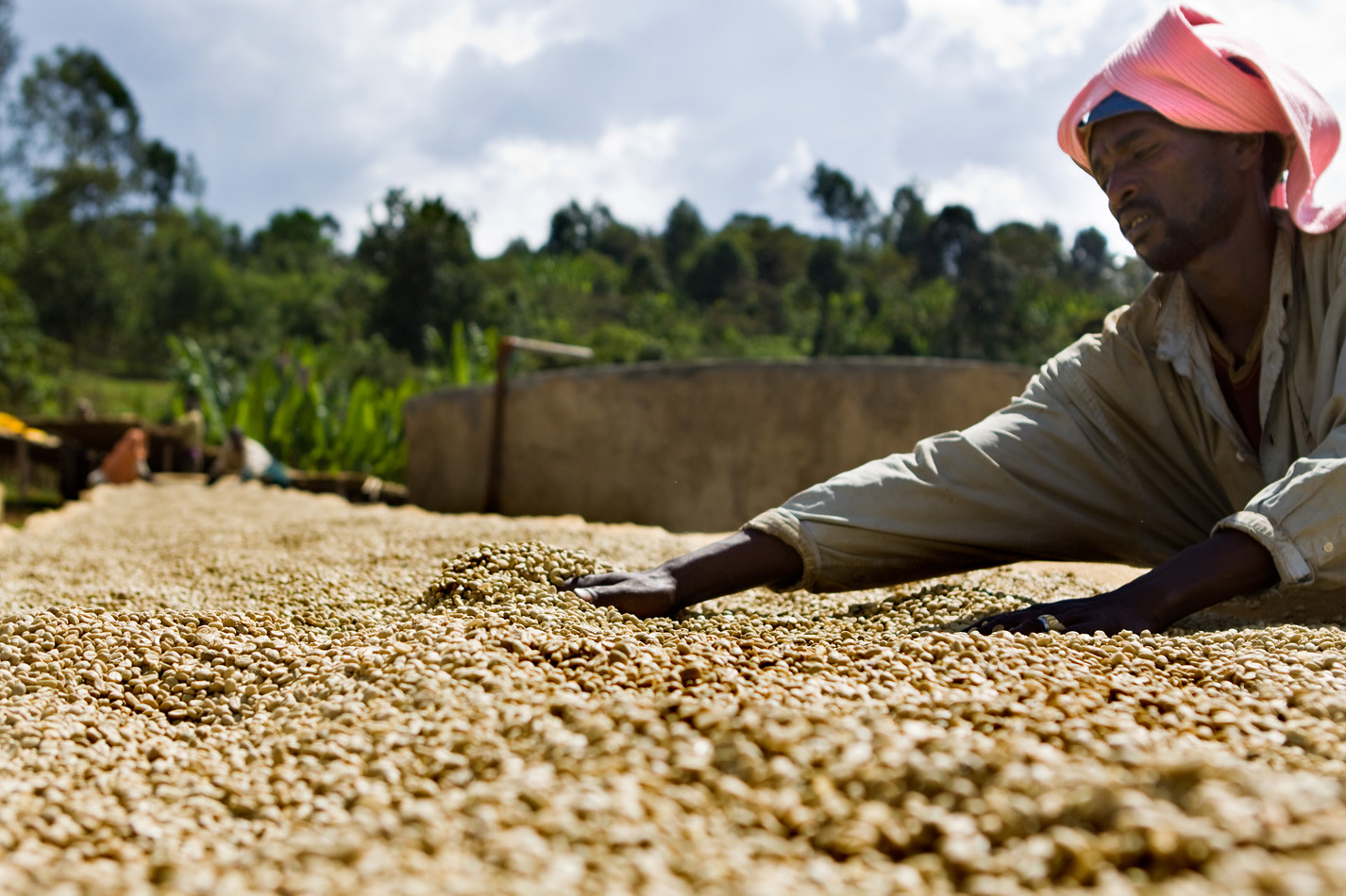 4803572459_4fe8c483e7_h