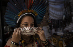 50409226507_594c48a747_k 50409226507_594c48a747_k