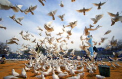 4770979281_c76da626d1_b 4770979281_c76da626d1_b