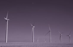 48515012426_4241155c05_k