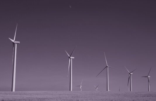 48515012426_4241155c05_k