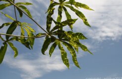 8313176735_175d962836_k