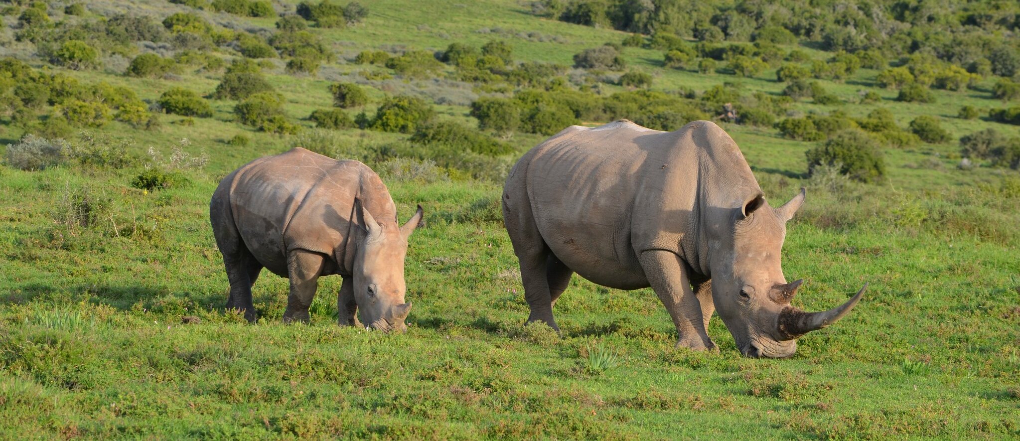 9480242655_94b88c2713_k