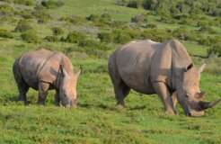 9480242655_94b88c2713_k 9480242655_94b88c2713_k